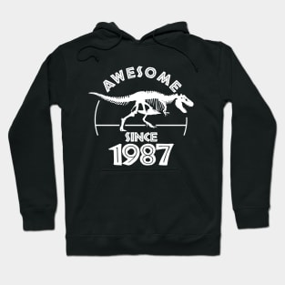 Awesome Since 1987 Hoodie